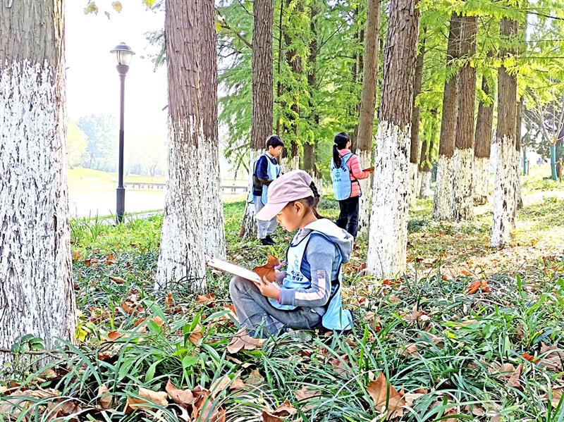 课外时间增加研学游受关注